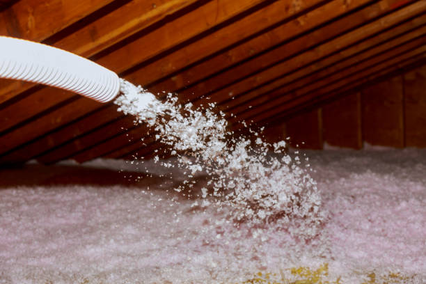 Best Energy Efficiency Solutions in Midway South, TX