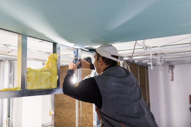 Best Insulation Installation Services in Midway South, TX